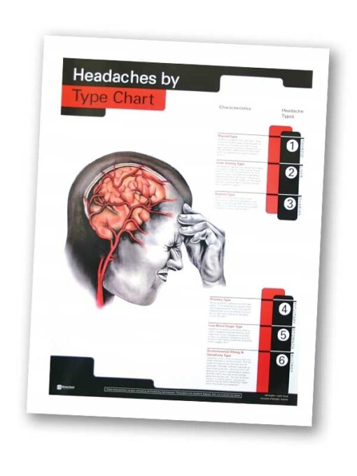 Headaches by Type Chart