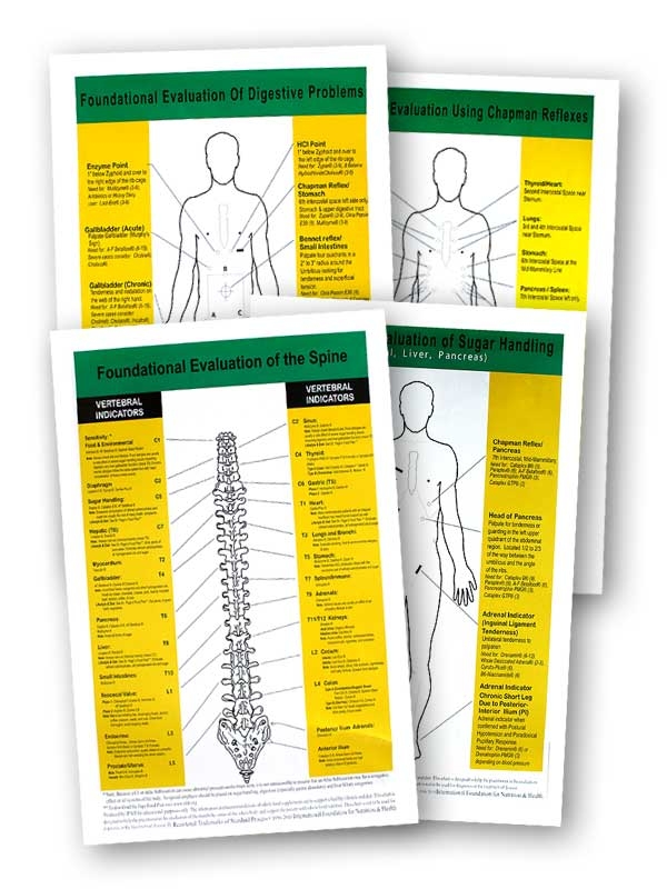 Chapman Reflexes Chart