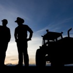 Silhouette of Two Farmers Talking in Field