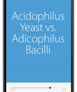 Acidophilus Yeast vs. Acidophilus Bacilli (MP3)