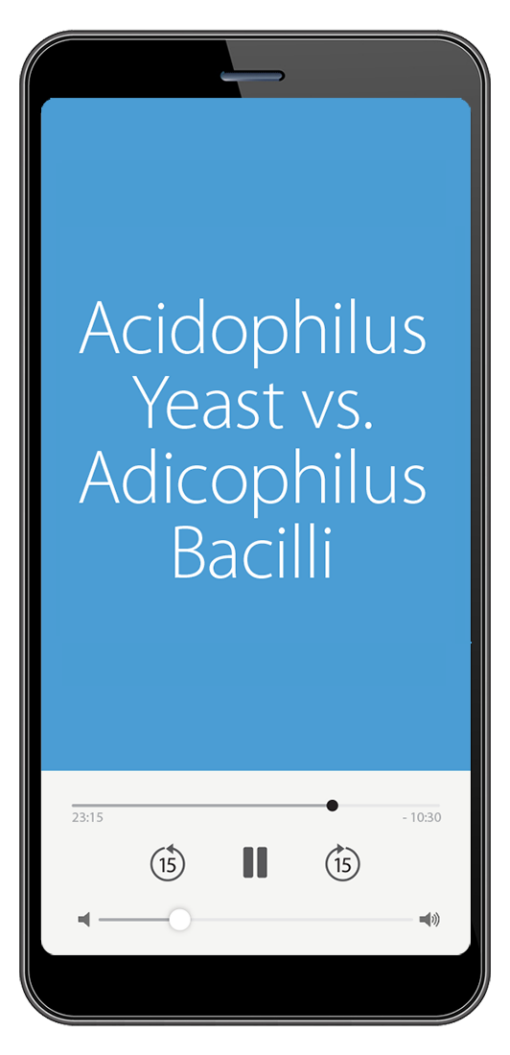 Acidophilus Yeast vs. Acidophilus Bacilli (MP3)