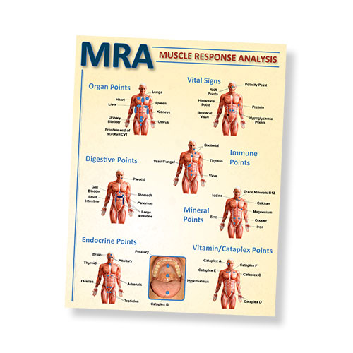 Muscle Response Analysis Chart 