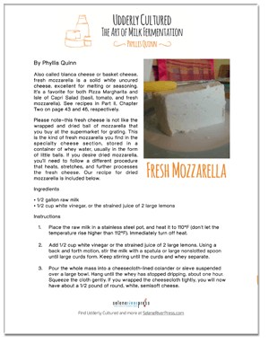 Cheese-making instructions