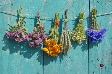 medical flowers