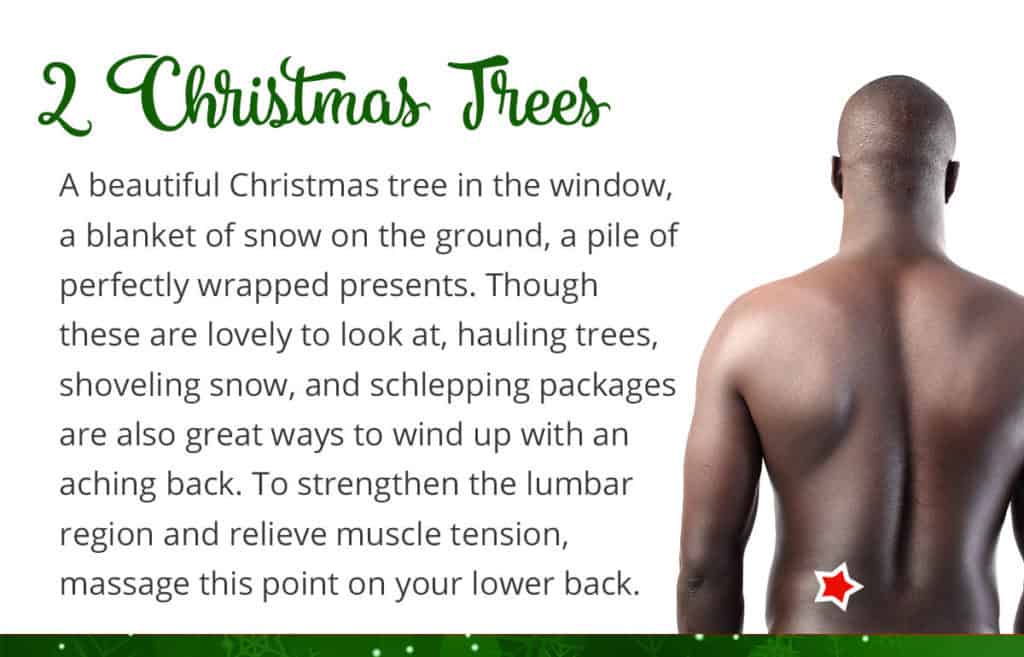 2 Christmas Trees