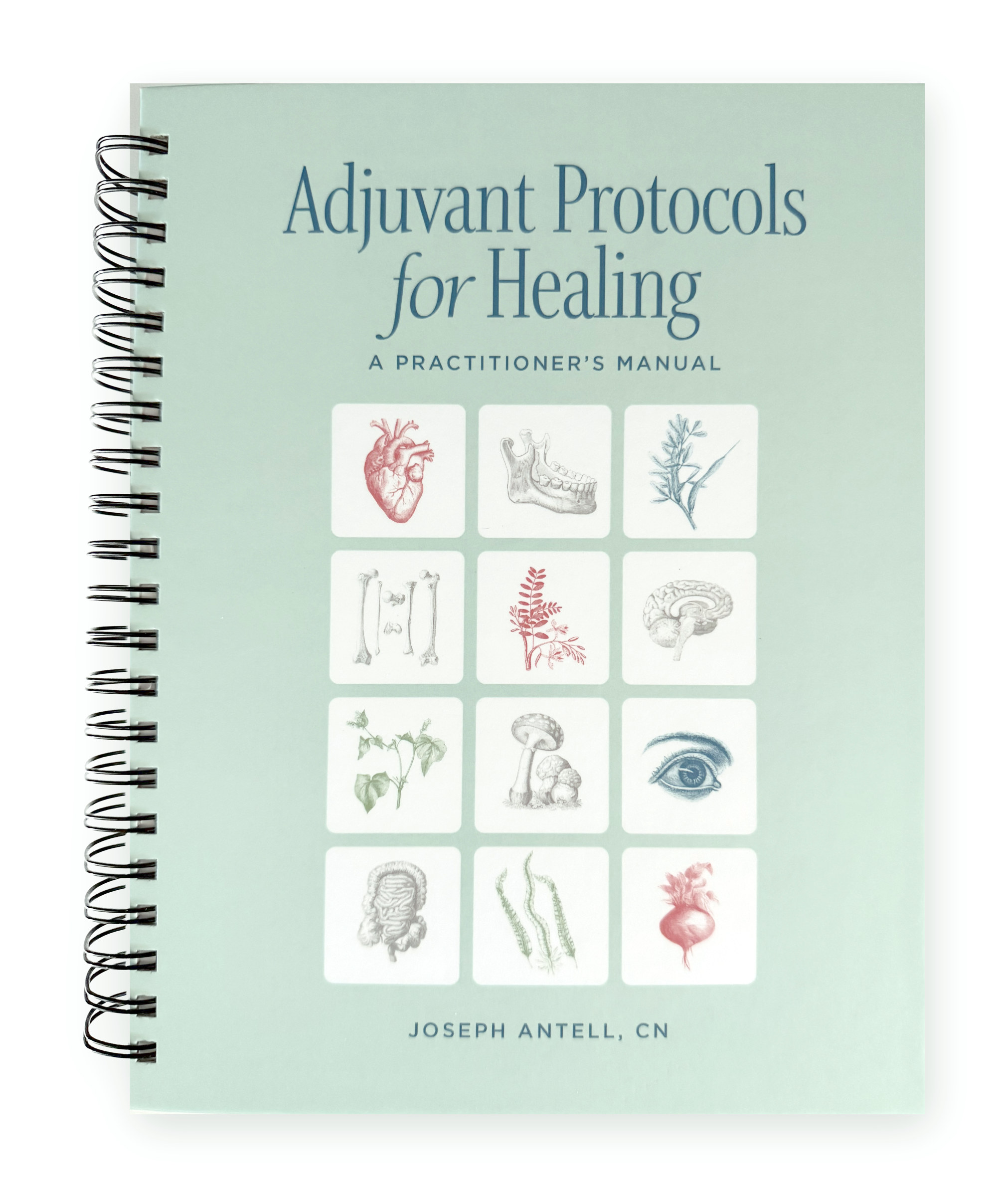 Adjuvant Protocols for Healing