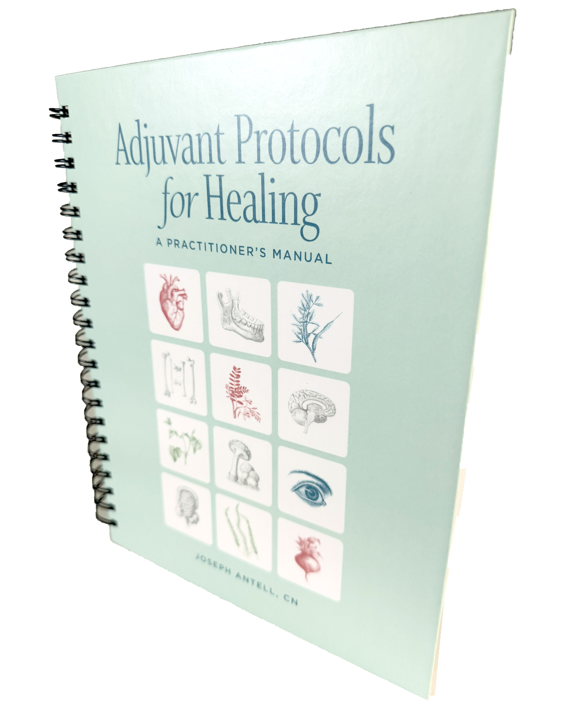 Adjuvant Protocols for Healing