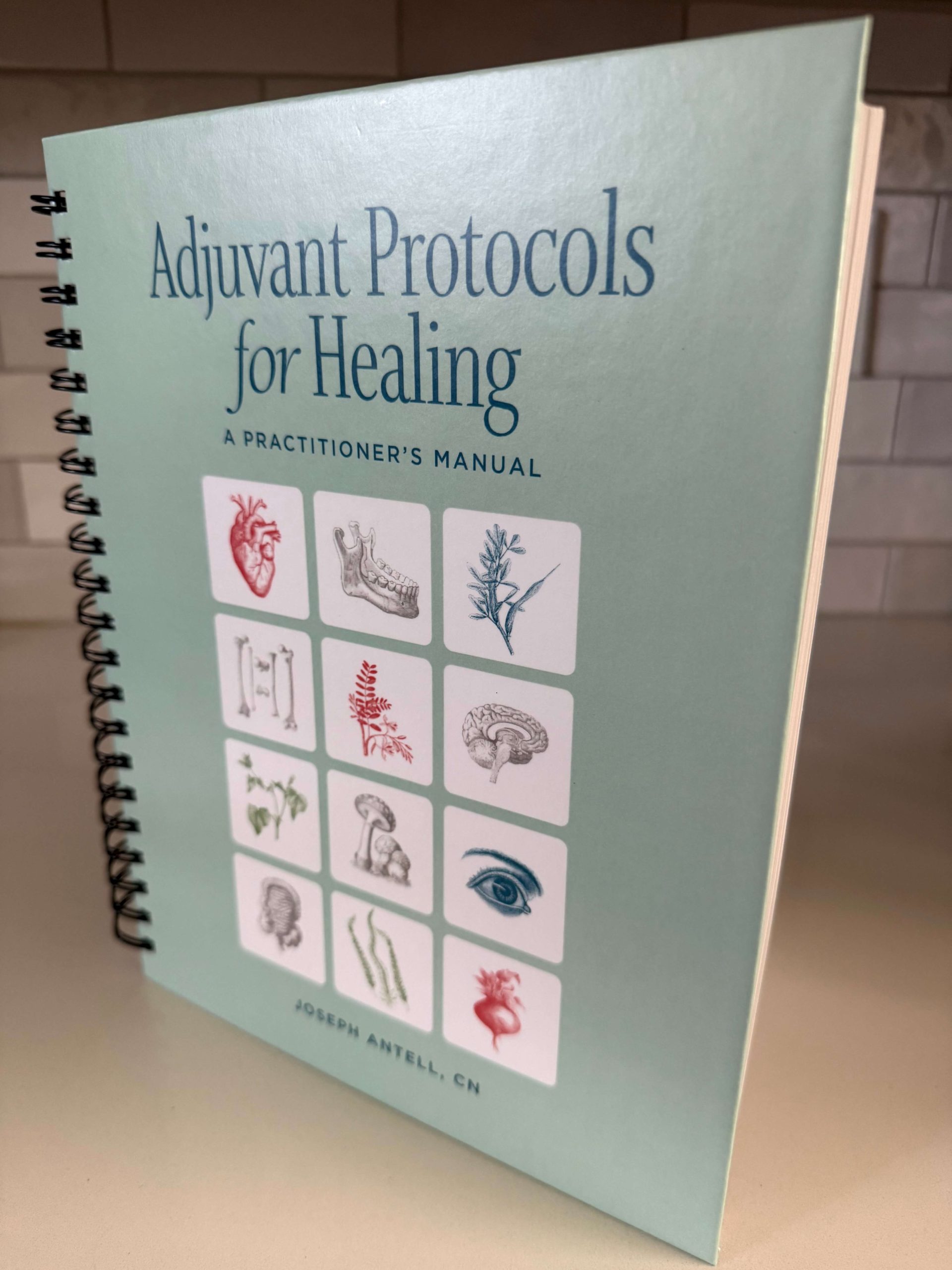 Adjuvant Protocols for Healing