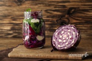 Fermented Cabbage